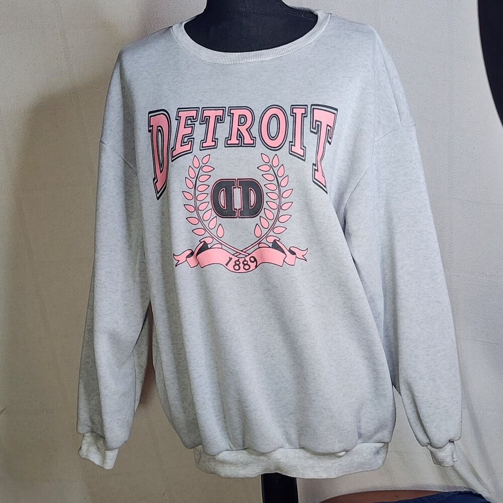Shein Grey Crewneck with Pink Detroit Graphic Long Sleeve Poly Sweatshirt Sz S - Picture 1 of 16